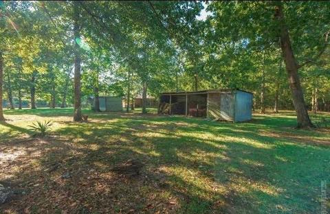 5335 Fm 252, Jasper, TX 75951 photo 15