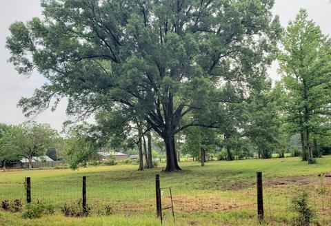 0 Dalrymple, Benton, LA 71006