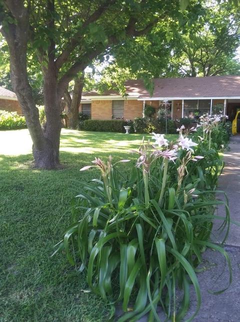 507 E 9th St, Kemp, TX 75143