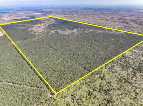 0 Off Hwy 105, No City, TX 77519