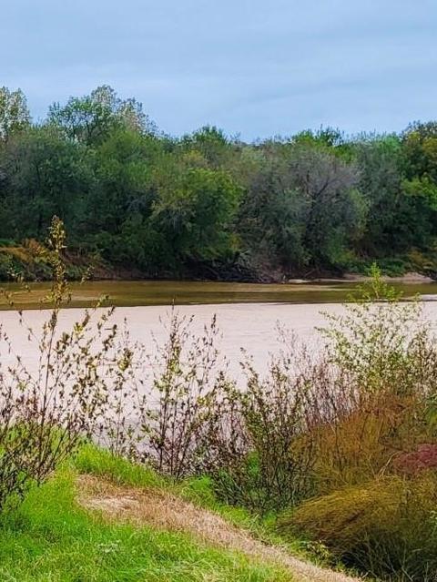 161 River View Ct, Millsap, TX 76066