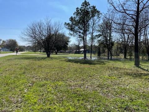 1428 Bora Bora St, Tool, TX 75143 photo 5