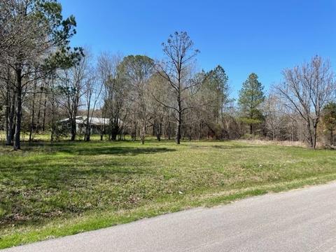 1428 Bora Bora St, Tool, TX 75143 photo 1
