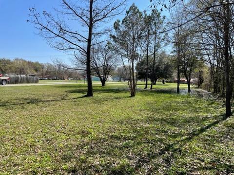 1428 Bora Bora St, Tool, TX 75143 photo 4
