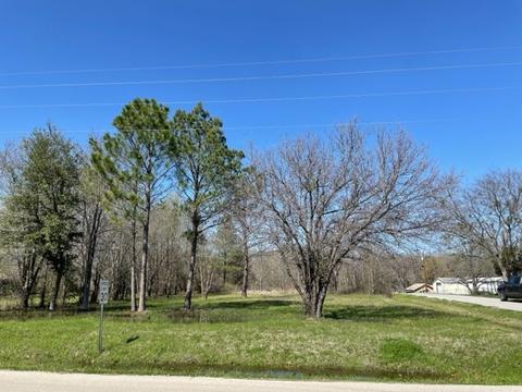 1428 Bora Bora St, Tool, TX 75143 photo 3