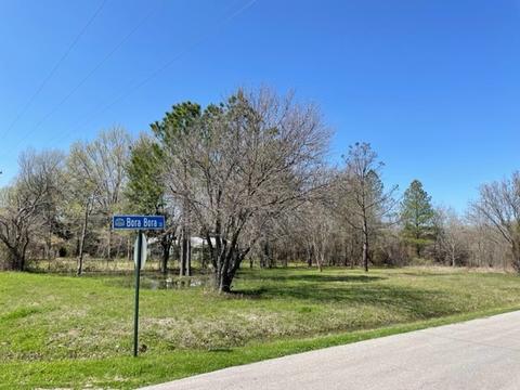 1428 Bora Bora St, Tool, TX 75143 photo 2