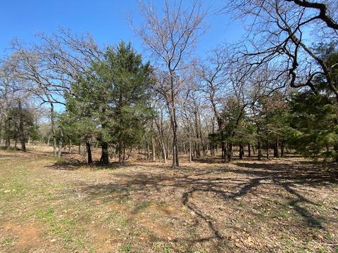 00 New Hopespring Mountain Rd, Cross Roads, TX 76227