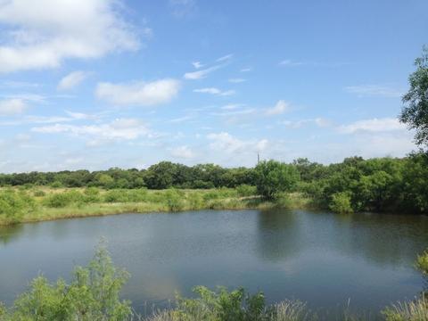 900 County Road 176, Bangs, TX 76823 photo 2