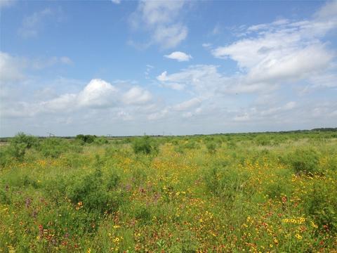900 County Road 176, Bangs, TX 76823 photo 15