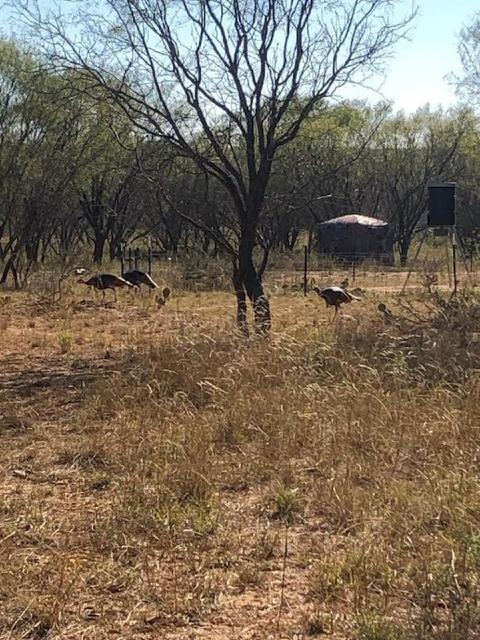 900 County Road 176, Bangs, TX 76823 photo 8