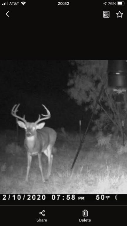900 County Road 176, Bangs, TX 76823 photo 3