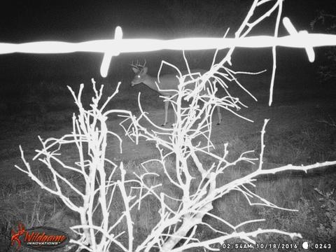 900 County Road 176, Bangs, TX 76823 photo 7