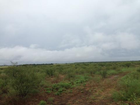 900 County Road 176, Bangs, TX 76823 photo 11