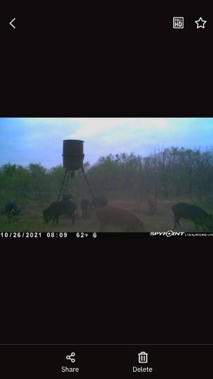 900 County Road 176, Bangs, TX 76823 photo 10