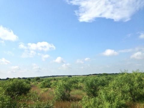 900 County Road 176, Bangs, TX 76823 photo 12