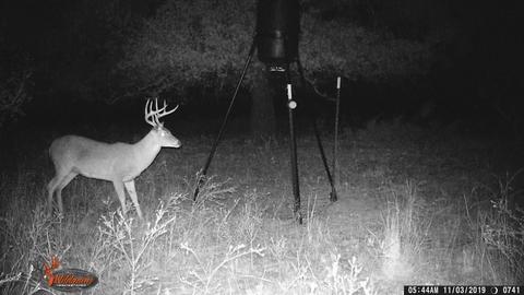 900 County Road 176, Bangs, TX 76823 photo 4