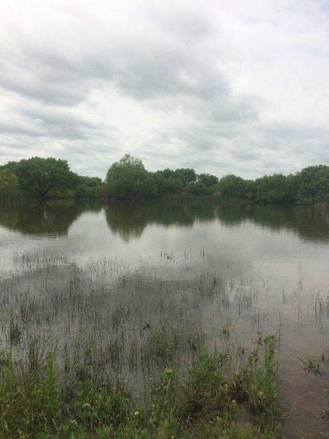 900 County Road 176, Bangs, TX 76823 photo 16