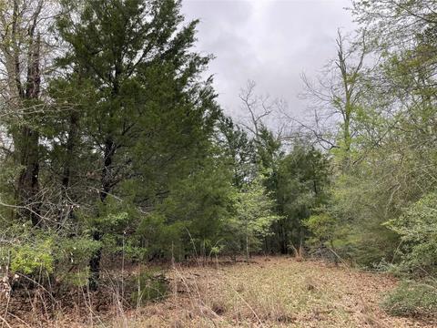 Tbd 12.28ac Cr 3241, Jewett, TX 75846