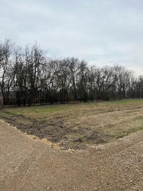 1193 County Rd 4045, Ector, TX 75439 photo 2