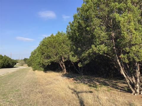 29084 Cedar Hill Dr Timberwood Dr, Whitney, TX 76692