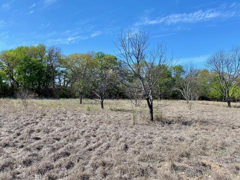 200 Buffalo Dr, Comanche, TX 76442 photo 23