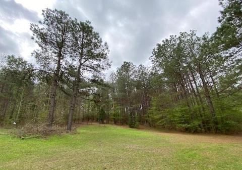 21947 Cr 366, Gladewater, TX 75647
