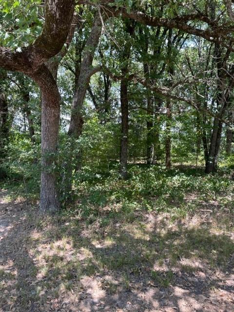Tbd Meadow Lake Drive, Gun Barrel City, TX 75156