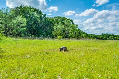 tbd County Road 175, Stephenville, TX 76401