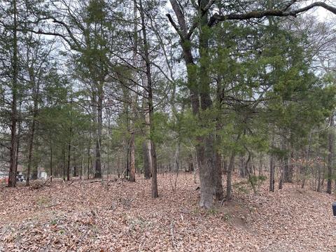 1 Whispering Pine Trail, Mount Vernon, TX 75457