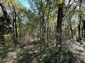 Tbd Doe Run, Gun Barrel City, TX 75156