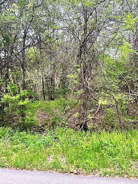 1601 Luzon St, Tool, TX 75143