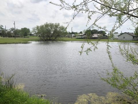 243 Tejas, Quitman, TX 75783