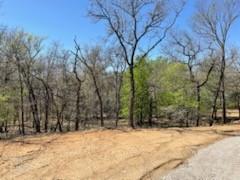 2 Silver Leaf Dr, Sunset, TX 76270 photo 17