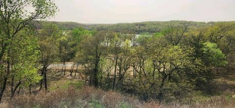 2 Silver Leaf Dr, Sunset, TX 76270 photo 7