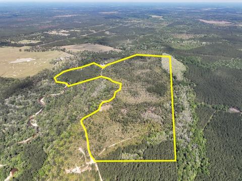 0 Fm 1416, No City, TX 75956