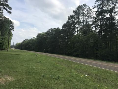 Tbd Highway 705, Broaddus, TX 75929