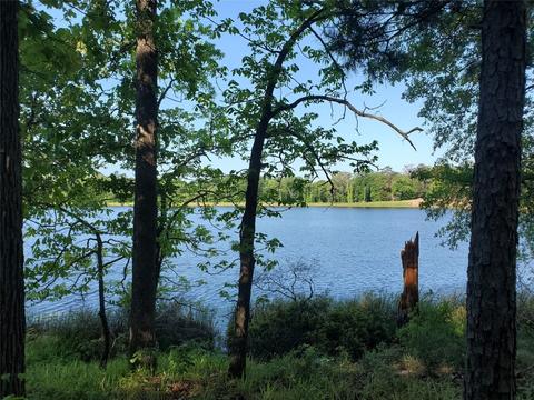 Lot 219 Private Road 8692, Winnsboro, TX 75494