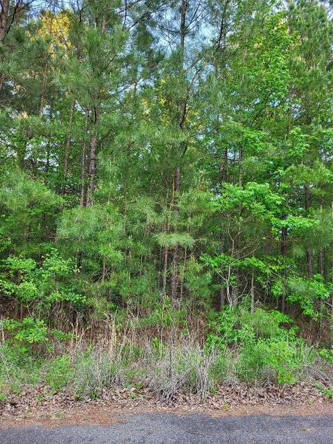 0 Gray Lake Dr, Princeton, LA 71067