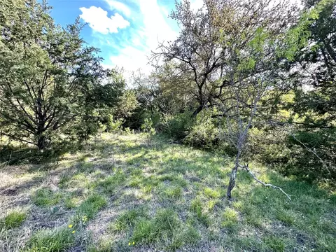 tbd 4 County Rd 153, Comanche, TX 76442 photo 3