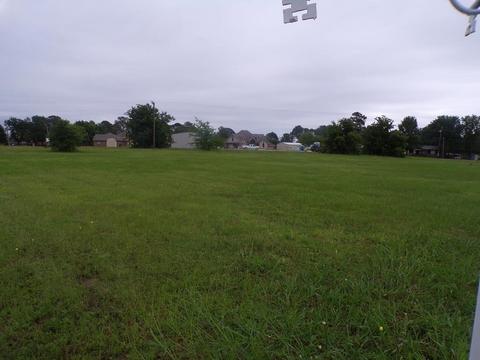 Lot 394 Loving Ranch Road, Trinidad, TX 75163
