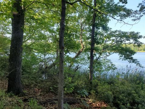 Lot 222 Private Road 8692 Road, Winnsboro, TX 75494