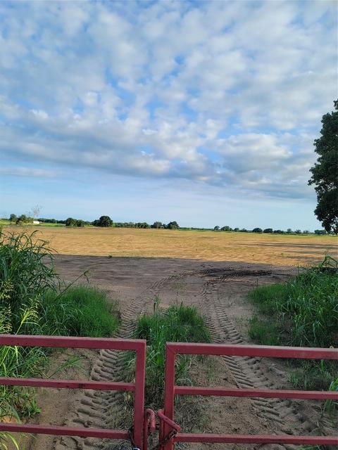 0000 Smyrna, Sunset, TX 76270