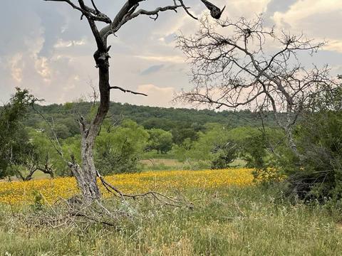 4501 Park Road 15, Brownwood, TX 76801