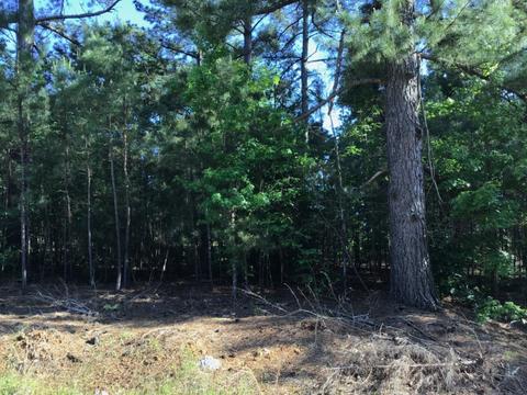 Tbd Private Road 52031, Pittsburg, TX 75686