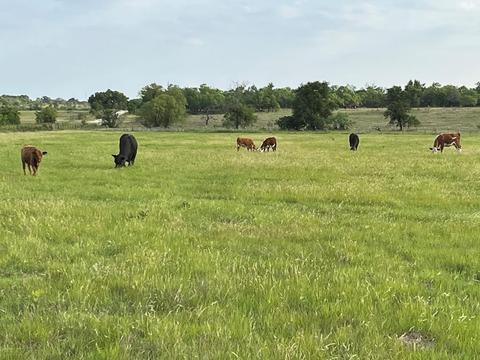 Na Cr 330, Dublin, TX 76446