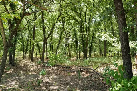 745 Glade Park Ct, Azle, TX 76020