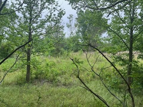 0 Bb Ln, Stonewall, LA 71078 photo 2