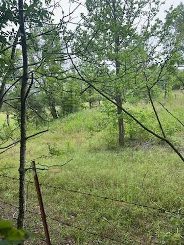 0 Bb Ln, Stonewall, LA 71078