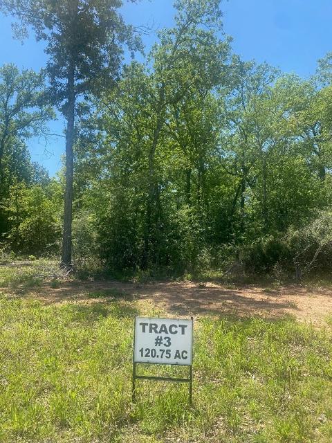 Tbd 3 Fm 1848, Buffalo, TX 75831