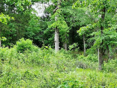 0 Dusti Rd, Eustace, TX 75124 photo 5